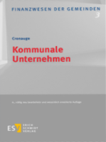 Abbildung: Kommunale Unternehmen