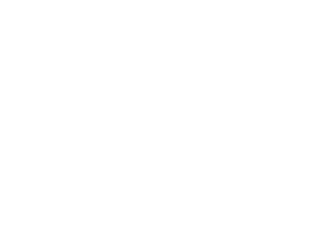 Stollfuss